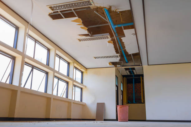 Best Ceiling water damage repair  in Eastpointe, MI