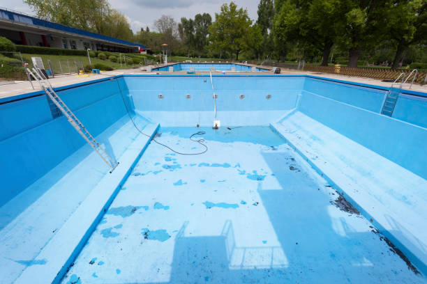 Best Mold removal after water damage  in Eastpointe, MI