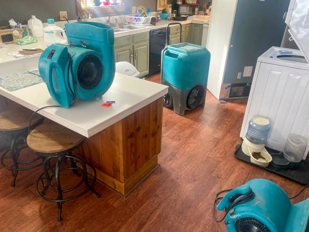 Best 24/7 water damage repair  in Eastpointe, MI