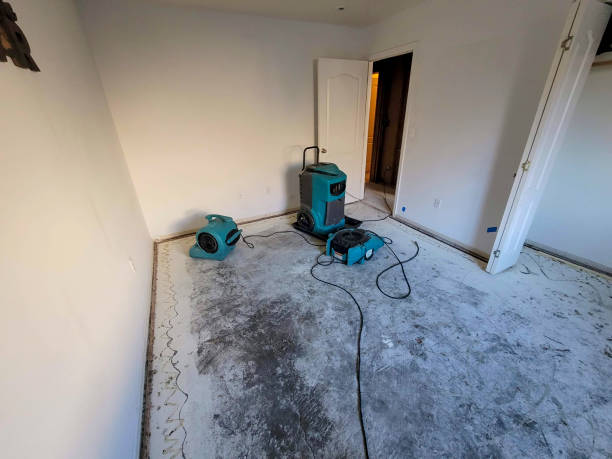 Best Basement water damage restoration  in Eastpointe, MI
